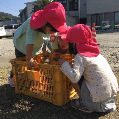 先週の子どもたち