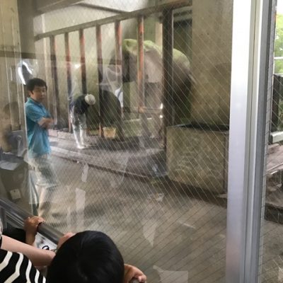 熊本市動植物園情報