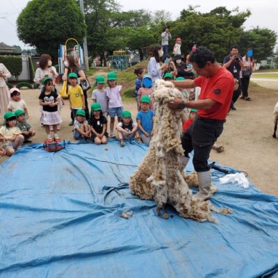 「メーコ、おひさしぶり」