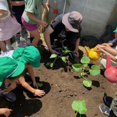 夏野菜を育てよう！～年長～