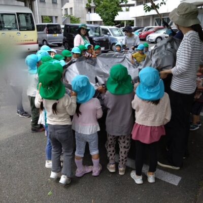 梅ジュース作り
