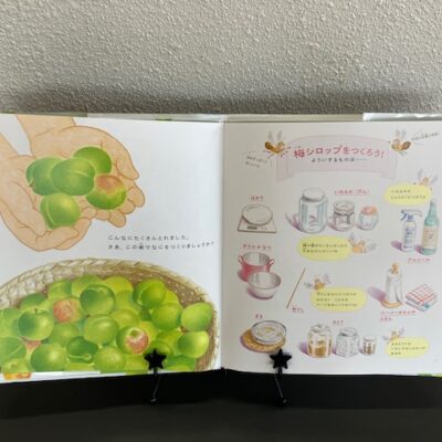 梅ジュース作り