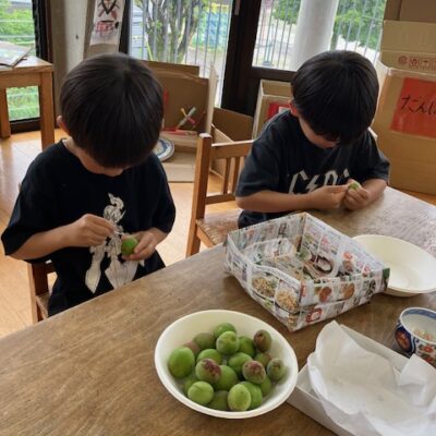 梅ジュース作り