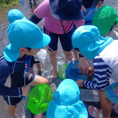 江津湖に行ってきました　～年長～