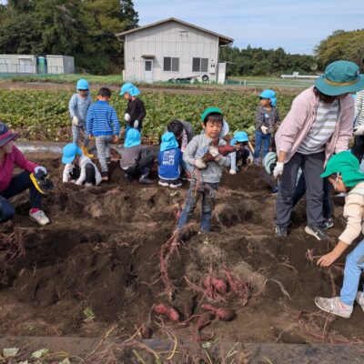 芋ほり　～年中　年長～