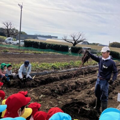 芋ほり　～年中　年長～
