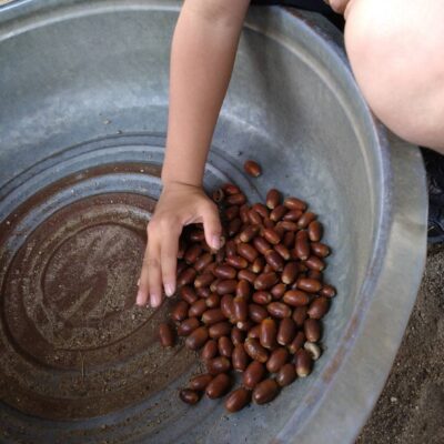 「もっともっといっぱい」