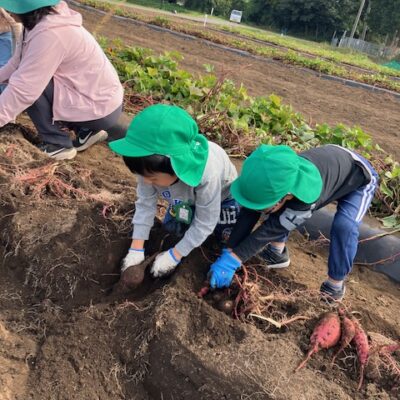 芋ほり　～年中　年長～