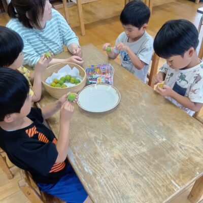 うめ仕事