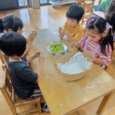 うめ仕事