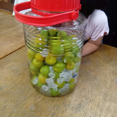うめ仕事