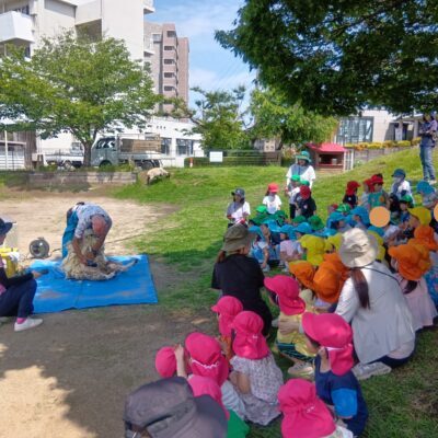 羊の毛刈り体験🐑
